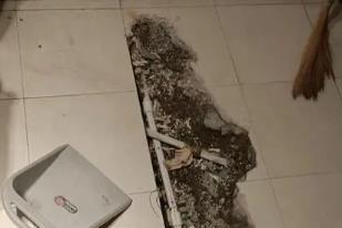 娄星卫生间漏水检测电话